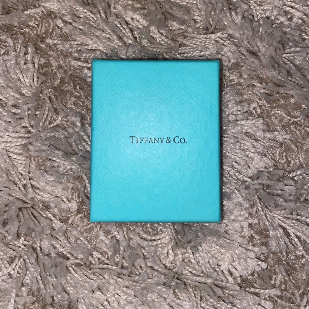 Tiffany & Co Necklace